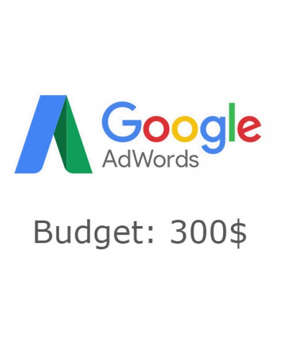 Google Adwords - 300$